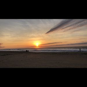 Meet your Posher, Carina